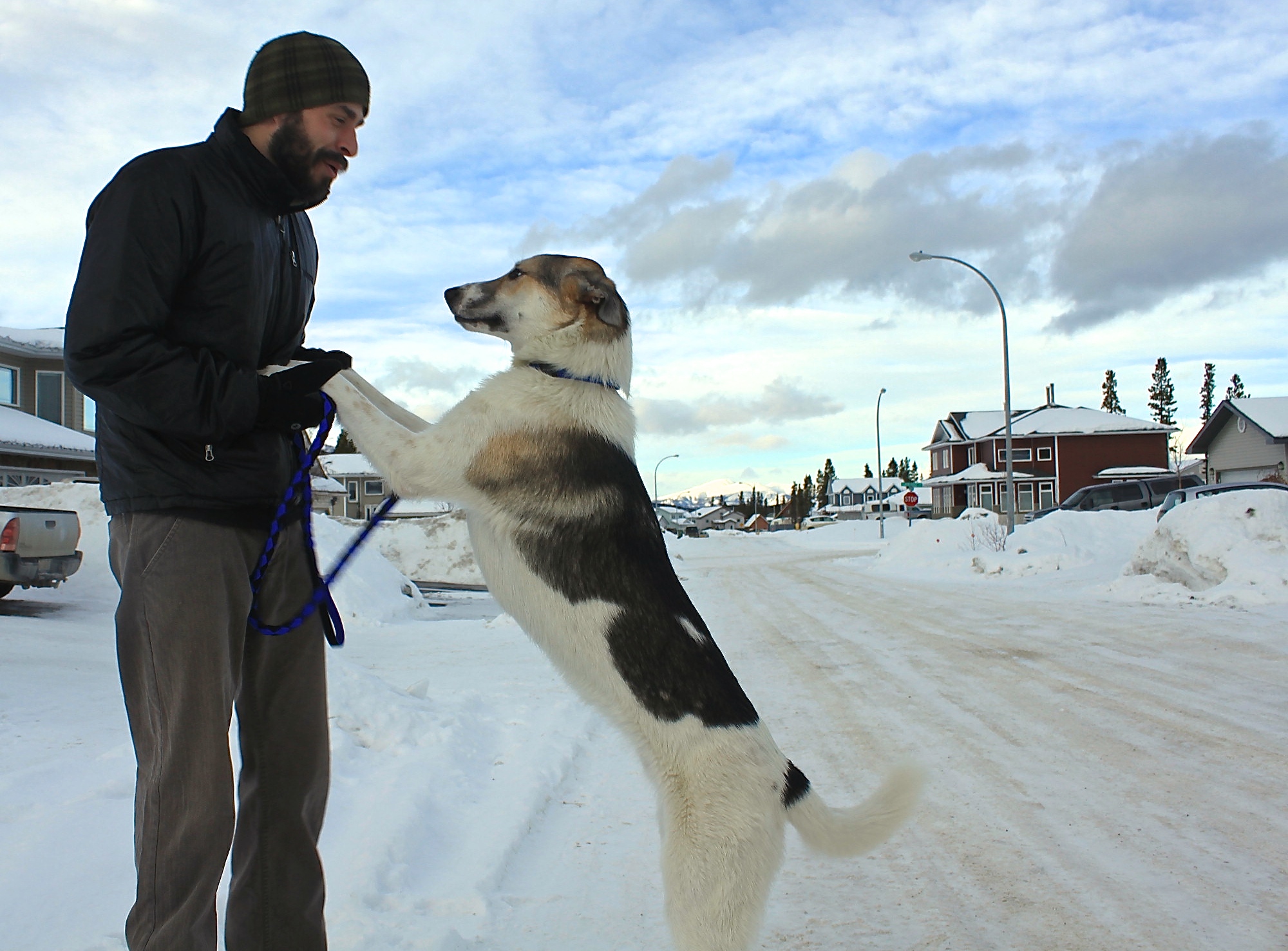 Whitehorse mortgages for homes